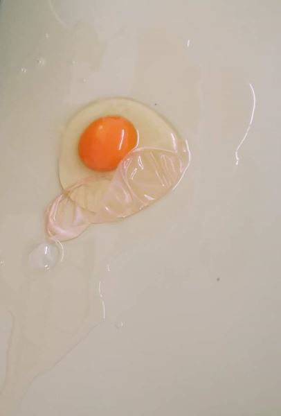 Captura01 huevo desnudo